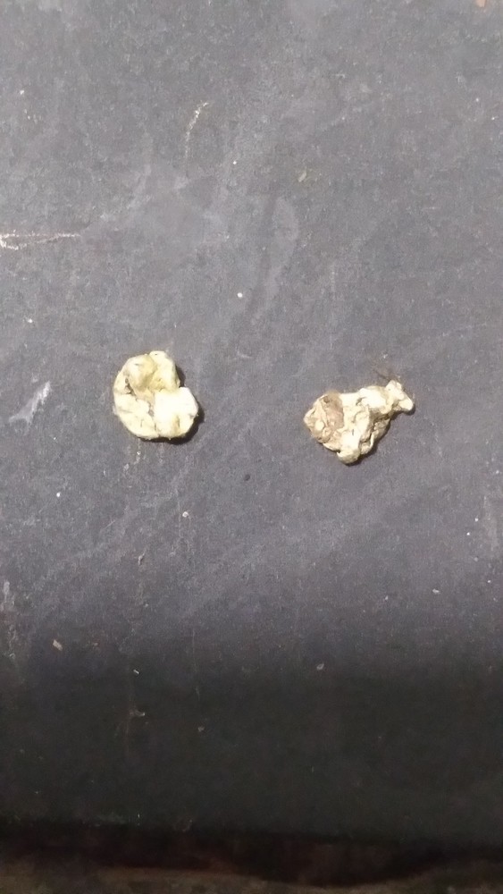 Gold Nuggets