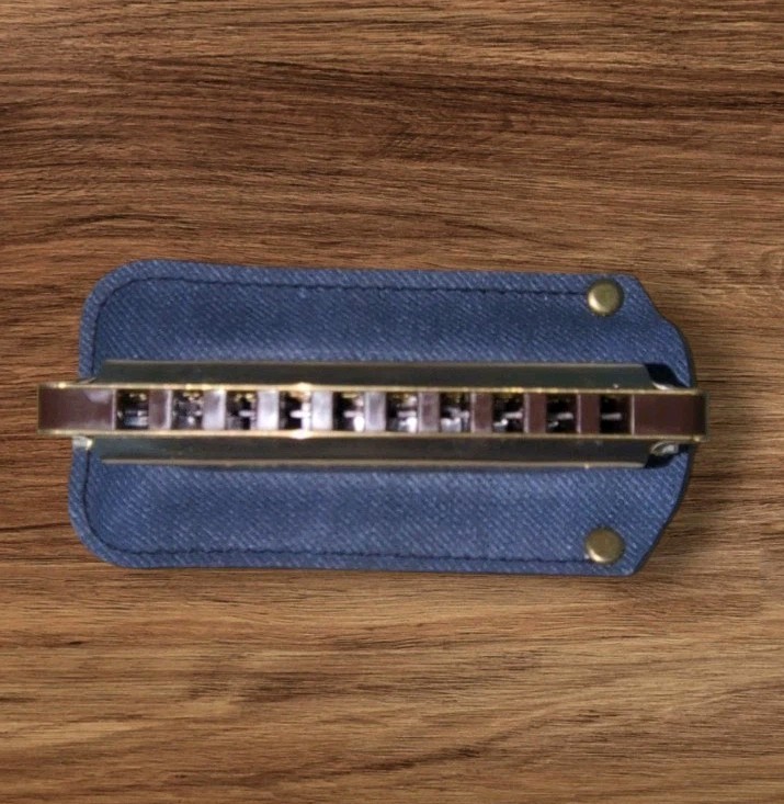 Vintage The Bandmaster Harmonica with Case Made in Germany. Mint Condition!