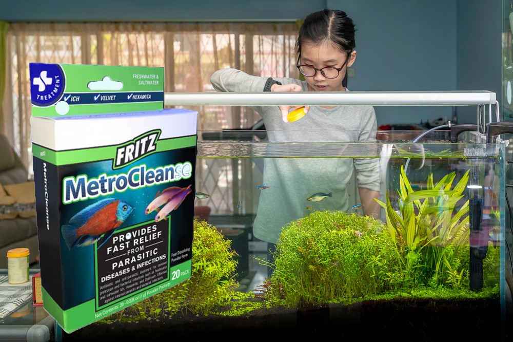 Fritz MetroCleanse