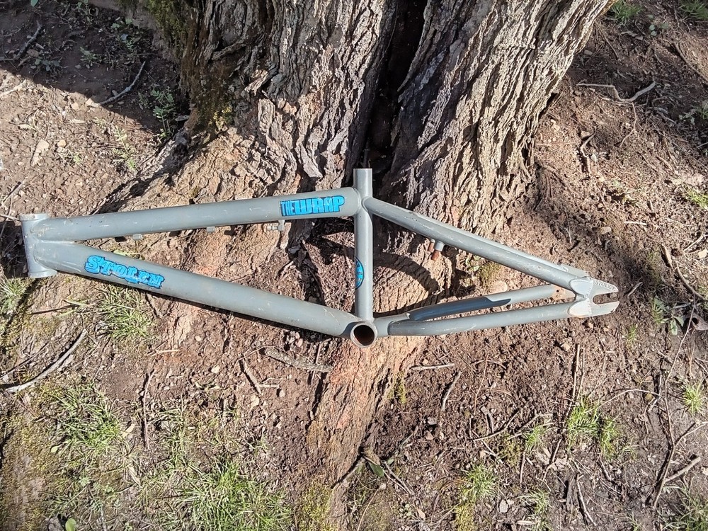 The Warp Bike Frame