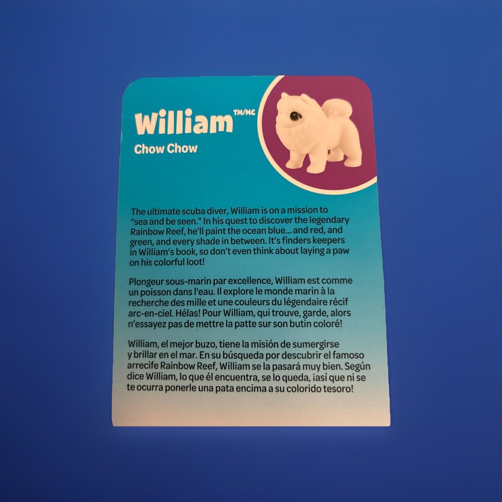 Crayola Scribble Scrubbies Pets Washable New In Box William