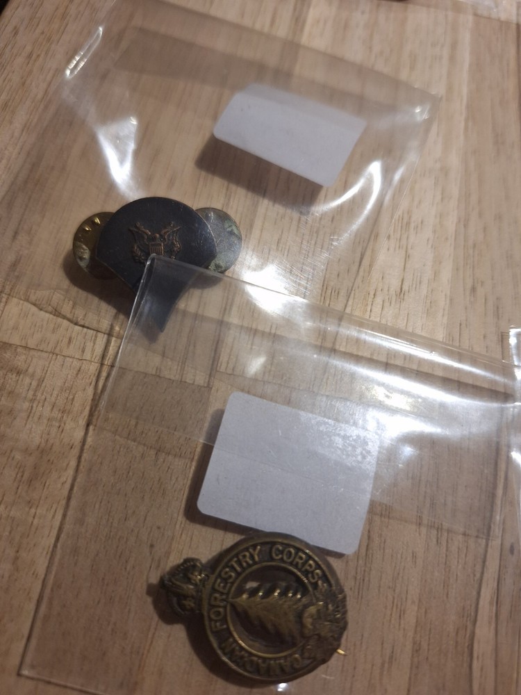 WW2 Army Pin Lot