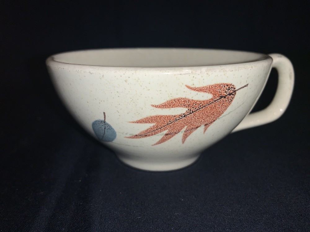 Franciscan AUTUMN Cup & Saucer