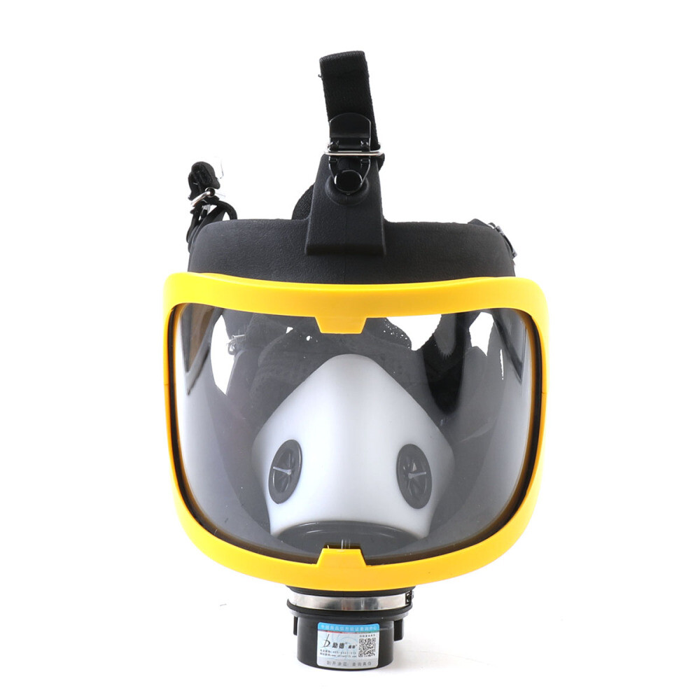 Electric Full Face Gas Mask Constant Flow Respirator Supplied Air Fed System