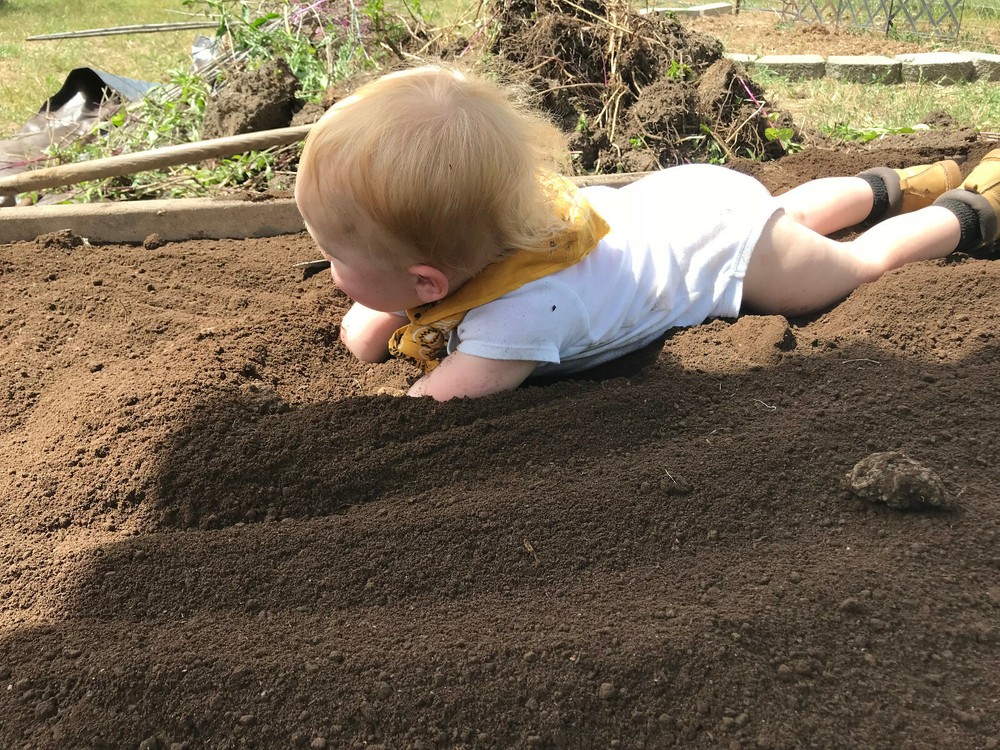 FRESH Natural Worm Castings, Soil Amendment, Tea, Compost