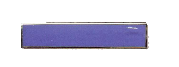 Unit Citation Bar - Generic - Police Dept.