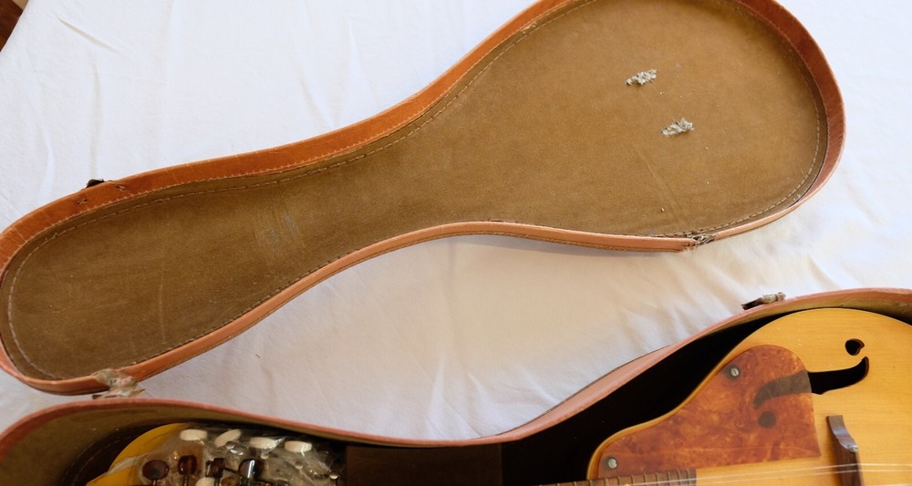 Vintage Silvertone Mandolin - Minor Defect - Sounds Decent