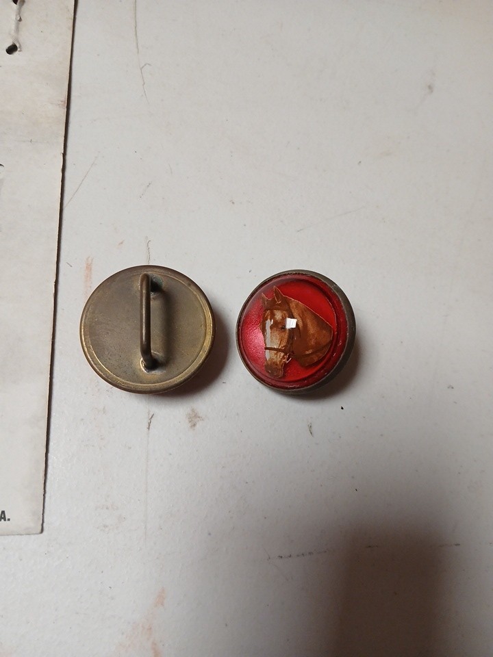 Horse Head Bridle Rosette