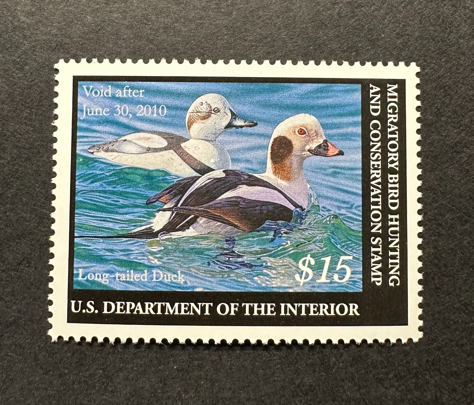 WTDstamps - #RW76 2009 - US Federal Duck Stamp - Mint OG NH