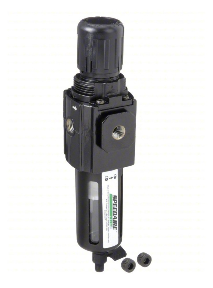 SPEEDAIRE 4ZK87A Filter/Regulator