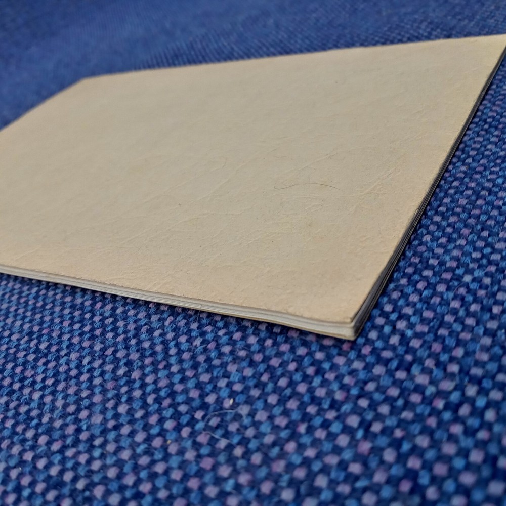 Pony Express By Edward S. Knapp 1936