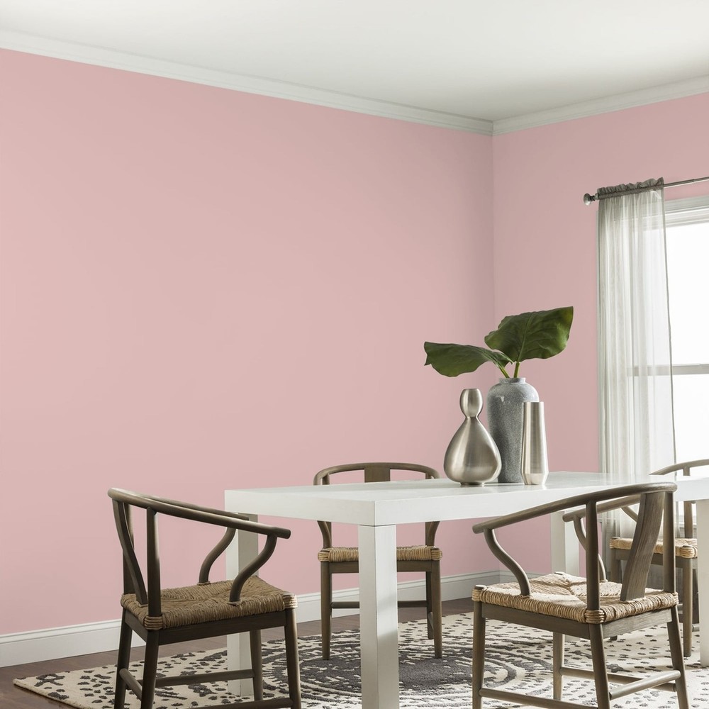 Fundamentals Rose Hip / Pink Eggshell Interior Paint 1 Gallon