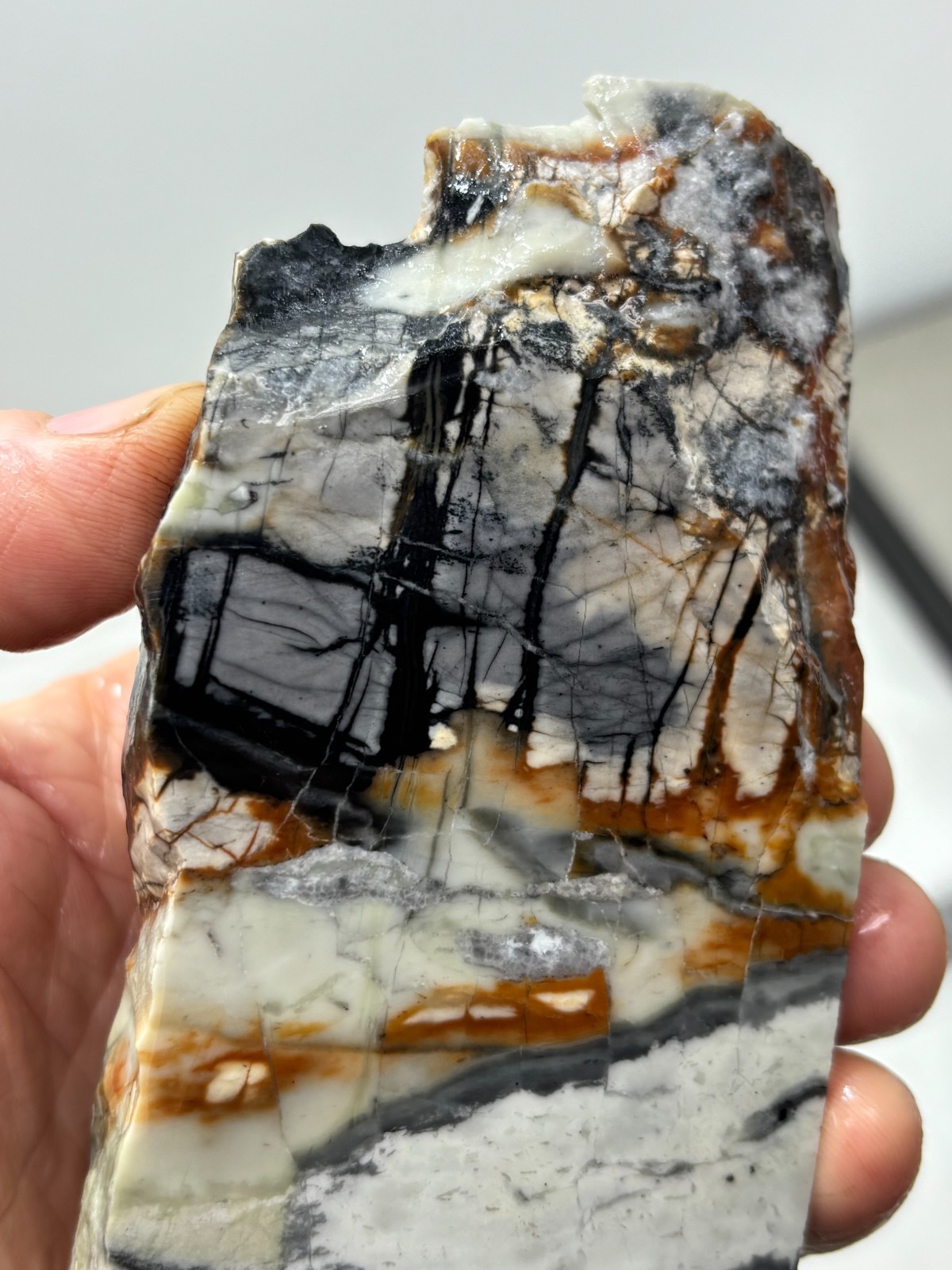 Picasso Marble (Jasper) end Slab Cabbing Lapidary Utah Combo Ship Avail