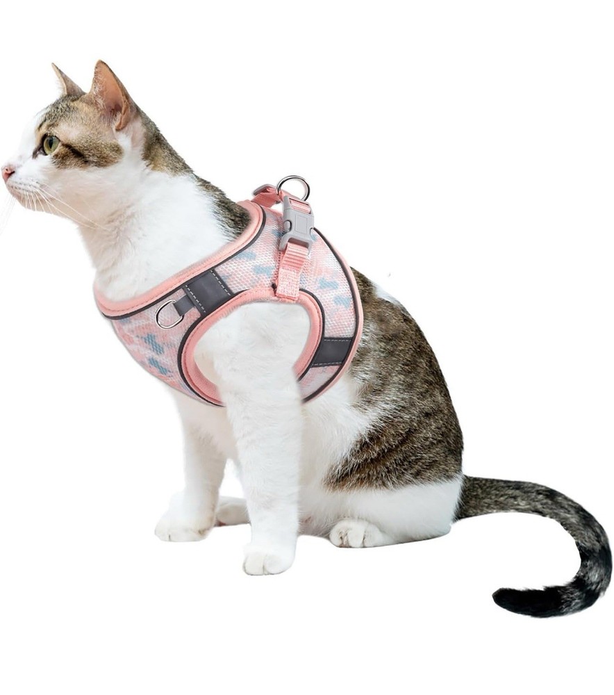 Step in Mesh Dog Harness and Leash Set - Breathable Air Mesh
