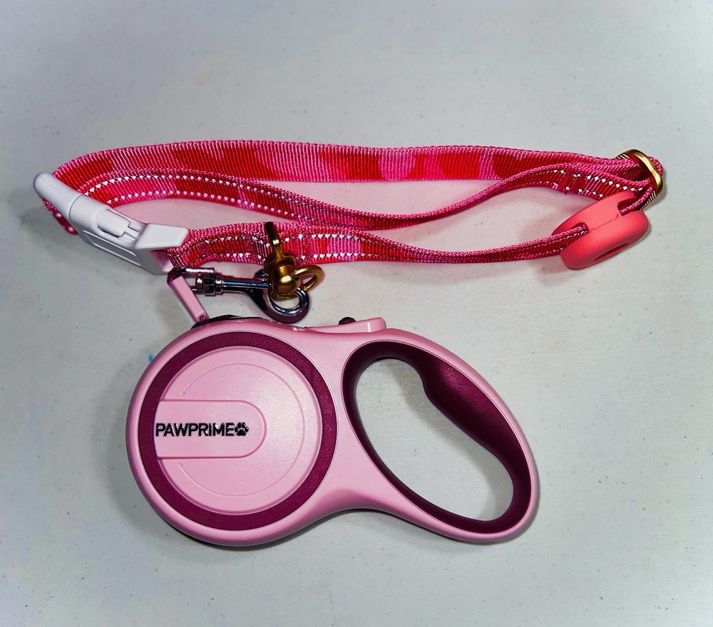 dog collar and leash set