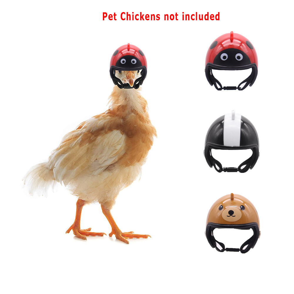 Adorable Pet Mini Hats: Ladybug, Star & Bear Designs, Adjustable for Small Pets