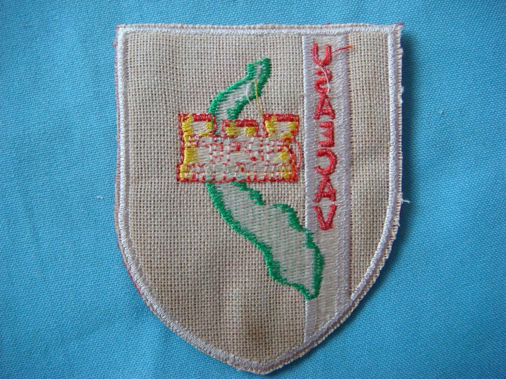 PATCH US ARMY ENGINEER CONSTRUCTION AGENCY IN VIETNAM