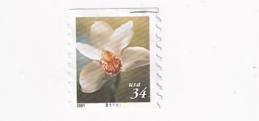 STAMP US SCOTT 3464 "Cymbidium Orchid" 34 CENT 2000 USED W/ PB# - B