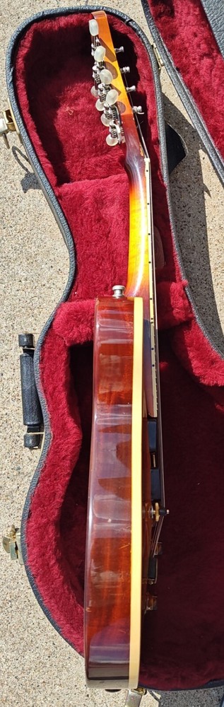 Custom P Mandolin with Case