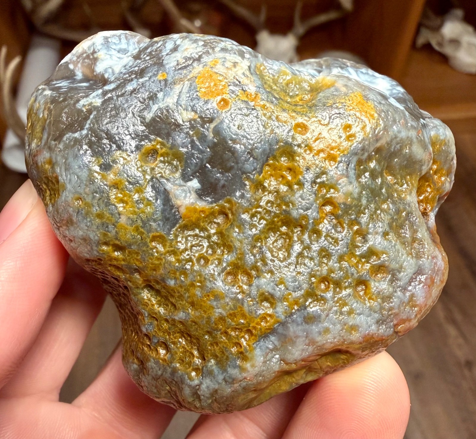 10.25oz LAKE SUPERIOR AGATE BIG BLUE JELLY SUNBLEACHED AND LIMONITE STAINING