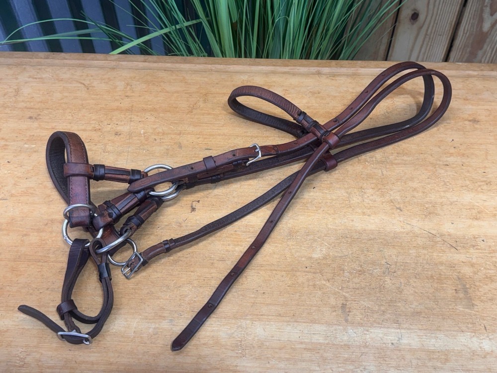 CHAMPION TURF Leather SidePull Western Training Headstall ~ Butter Soft!
