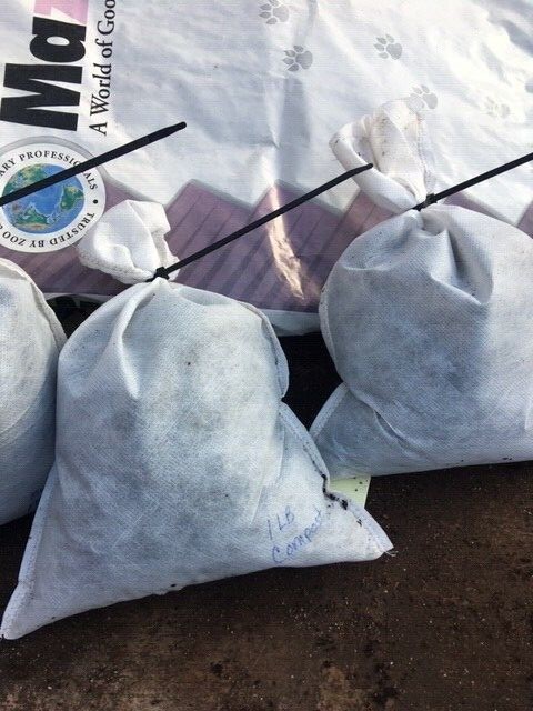 1/2 Lb European Nightcrawlers Compost worms