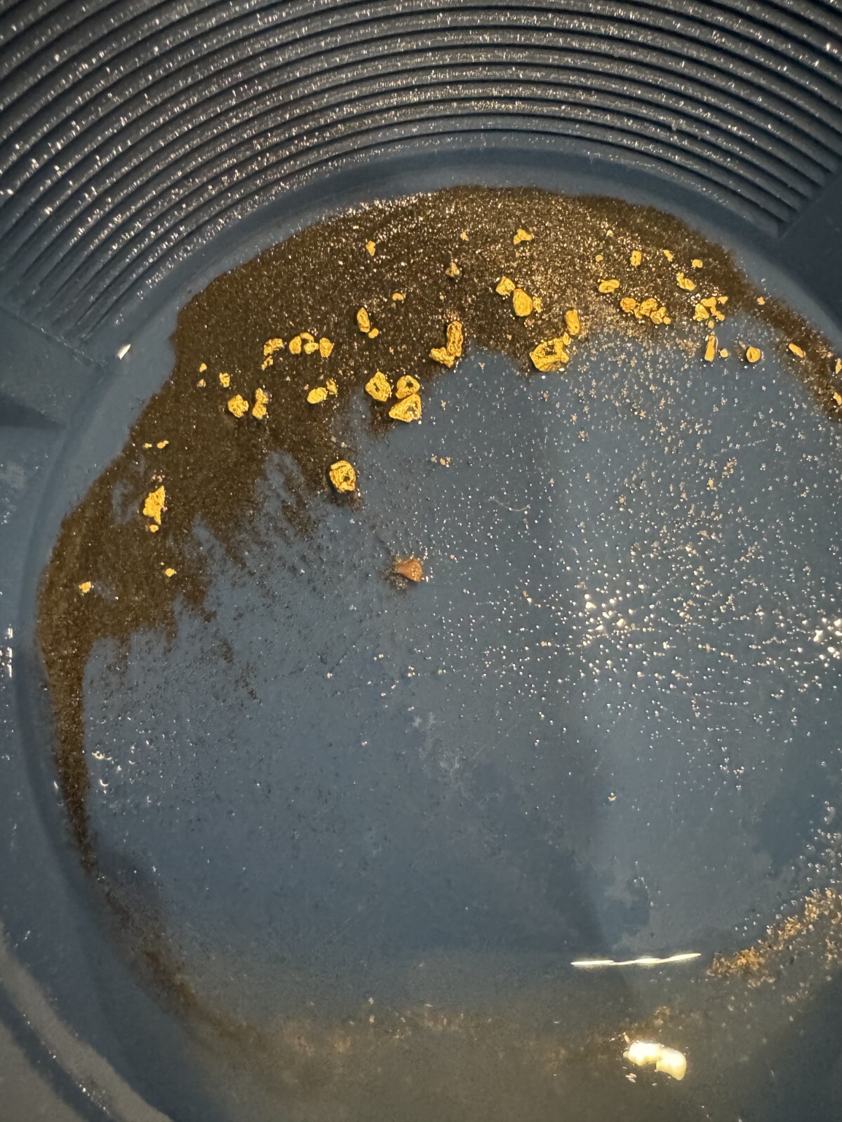 Presidential 10 Gram Gold Nugget Hunt Rich Unsearched Paydirt With Added Gold