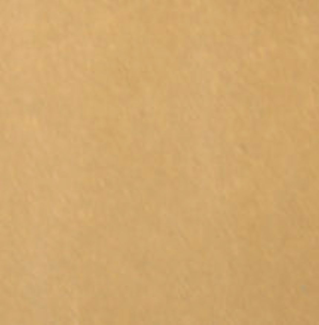 Concrete Dry Shake Dust-On Color Hardener Pigment Powder Walttools | Champagne