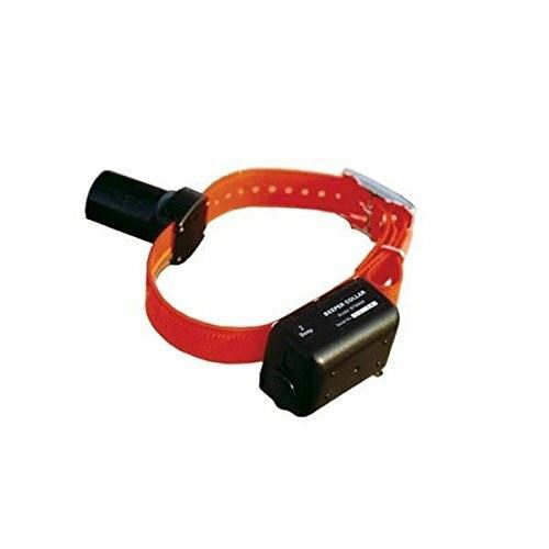 D.T. Systems Baritone Beeper Collar BTB 800
