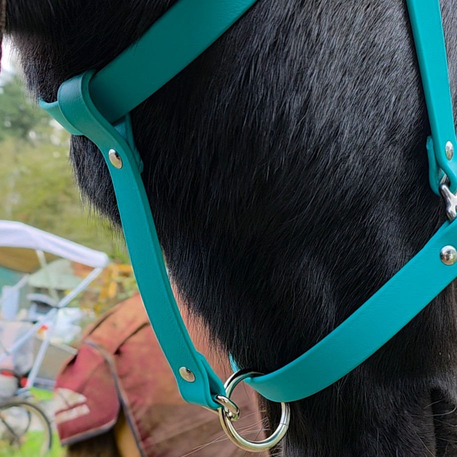 Biothane Horse Halter - Dragonfly