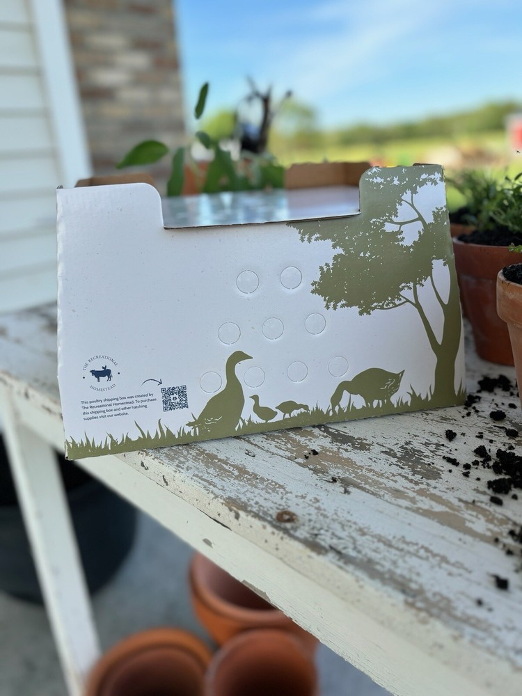 (10 Pack) 25 Chick Shipping Box, USA Made