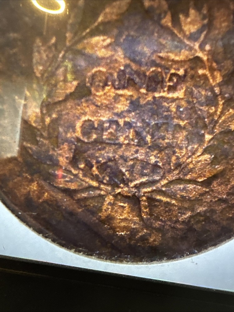 1803 Large Cent Draped Bust