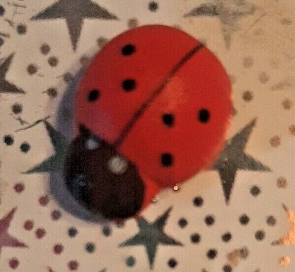 Tiny Ladybug Gift Box Empty 1.25 Inches Square Silver Stars
