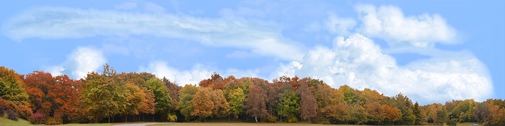 Model Railroad Train Backdrops - Treeline Large To Left In Autumn