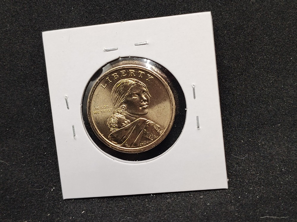 2013 P&D Native American Dollar