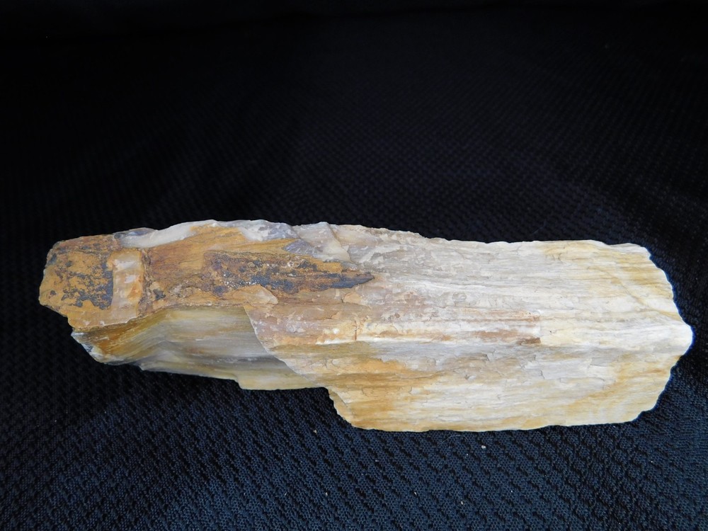 Opalized Petrified Wood Stick 1lb.