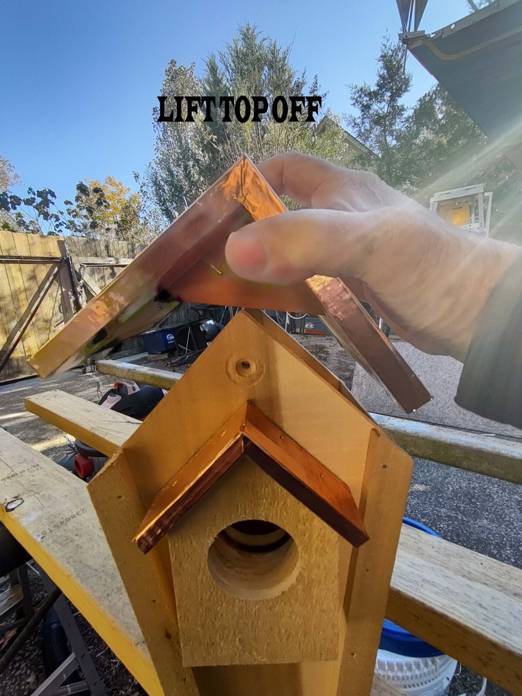 Bluebird House With Copper-Clad Roof