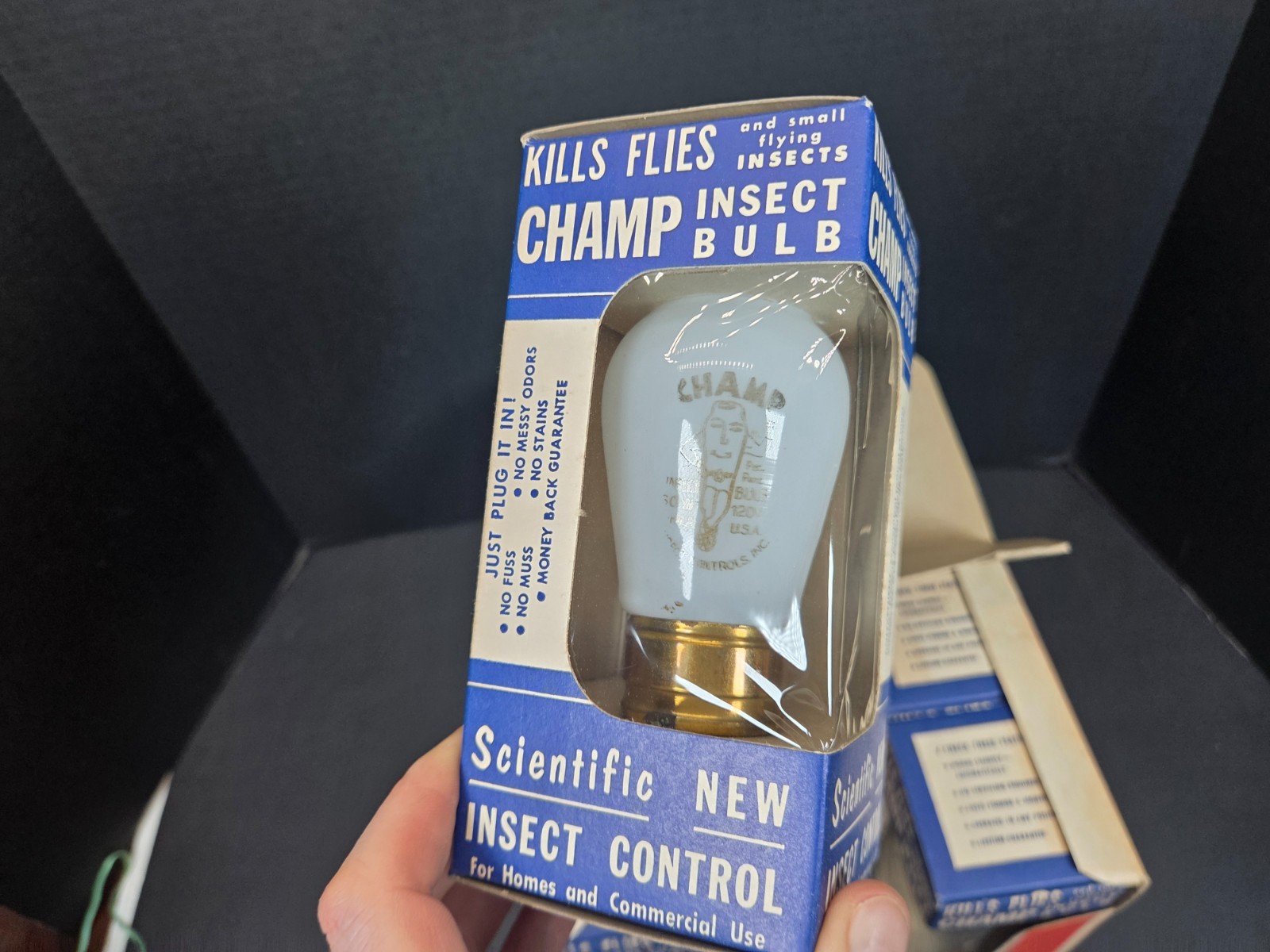 Antique Store display 6 pack Champ insect light bulbs MINT