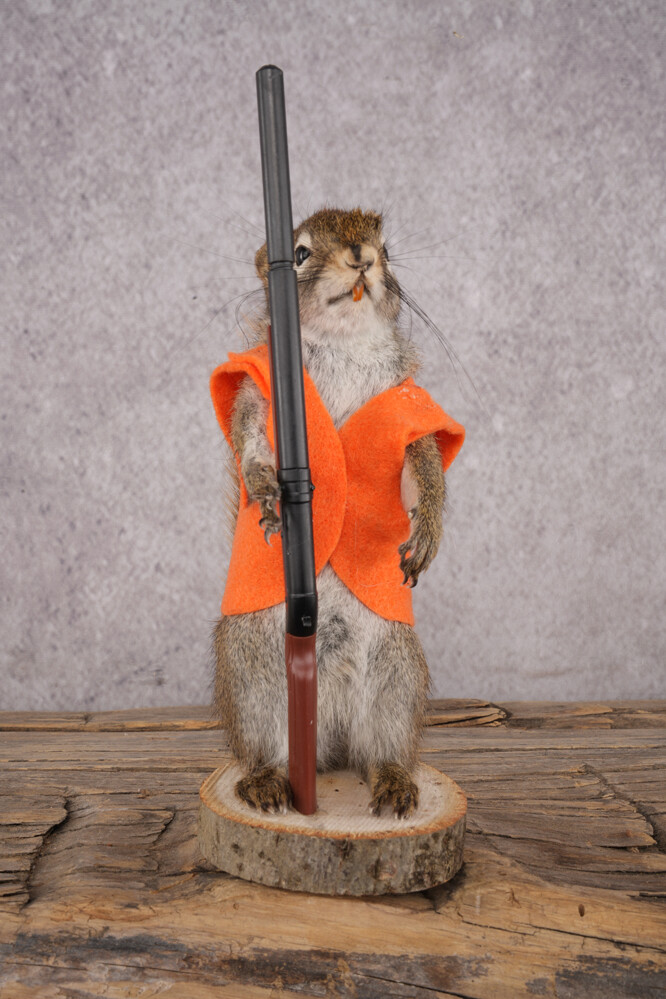 Hunting Red Squirrel SKU 3131