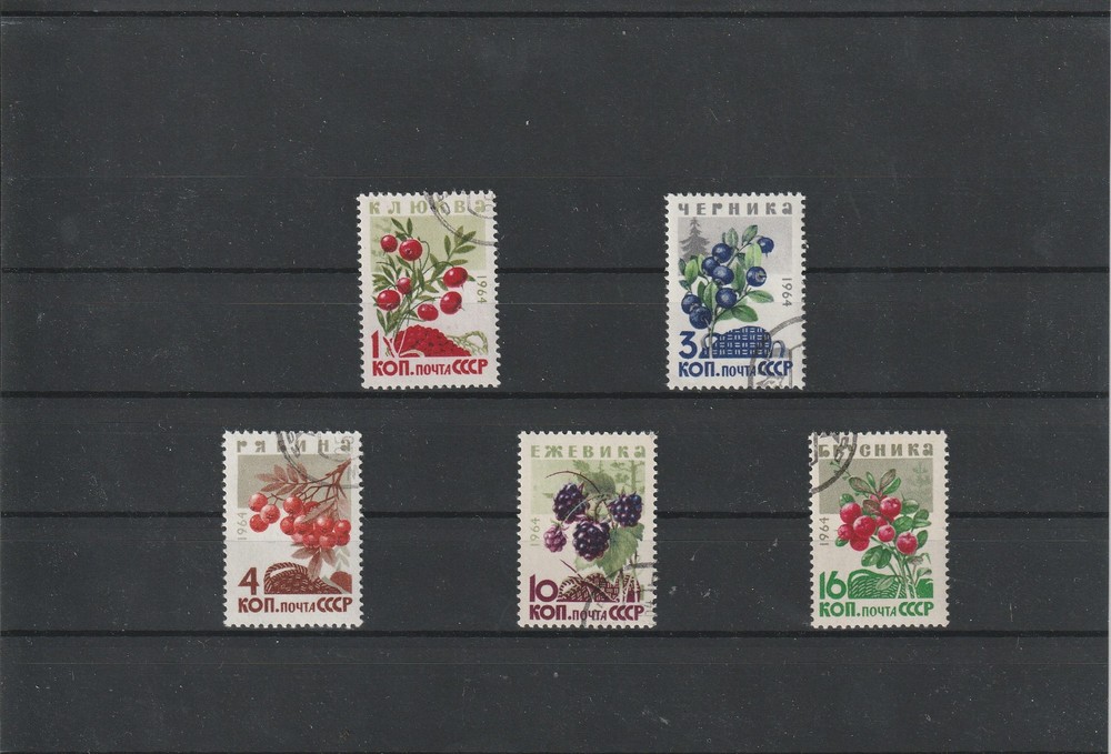 USSR Mi. No. 2996-3000.----1964.   H-48