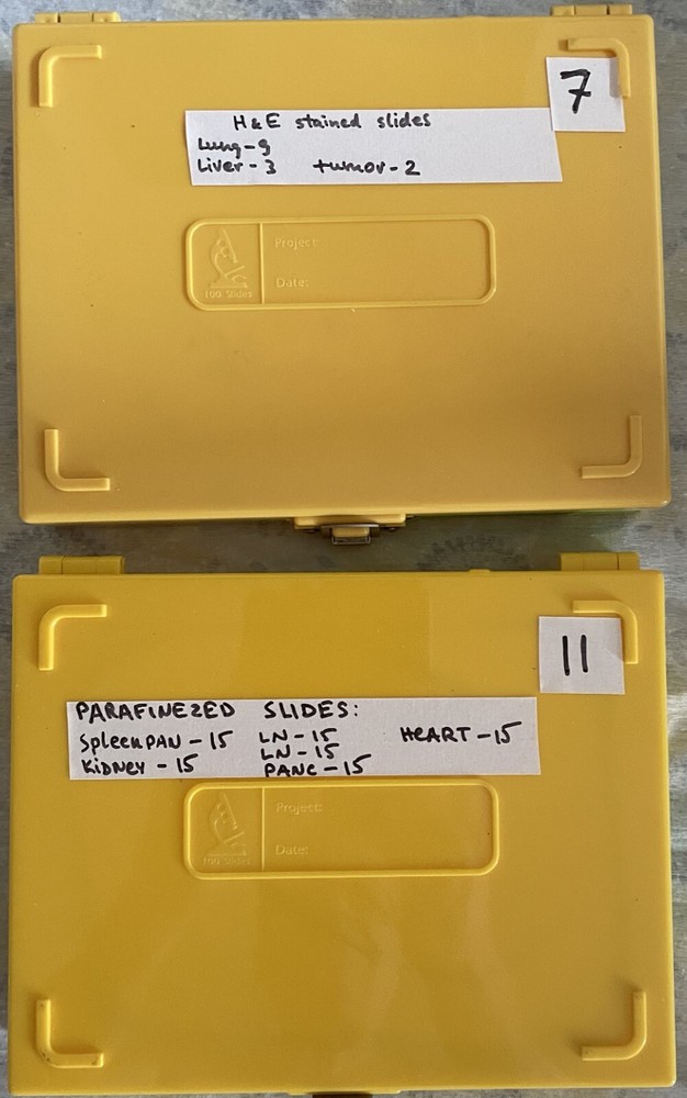 Two Microscope storage boxes with  mouse tissues slides