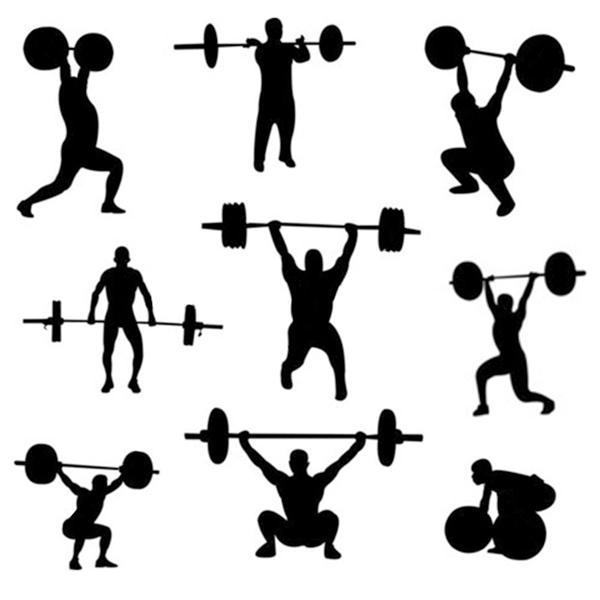 86" Chrome Olympic Barbell Lifting Bar Weight Workout Gym Bench Workout 45 LB