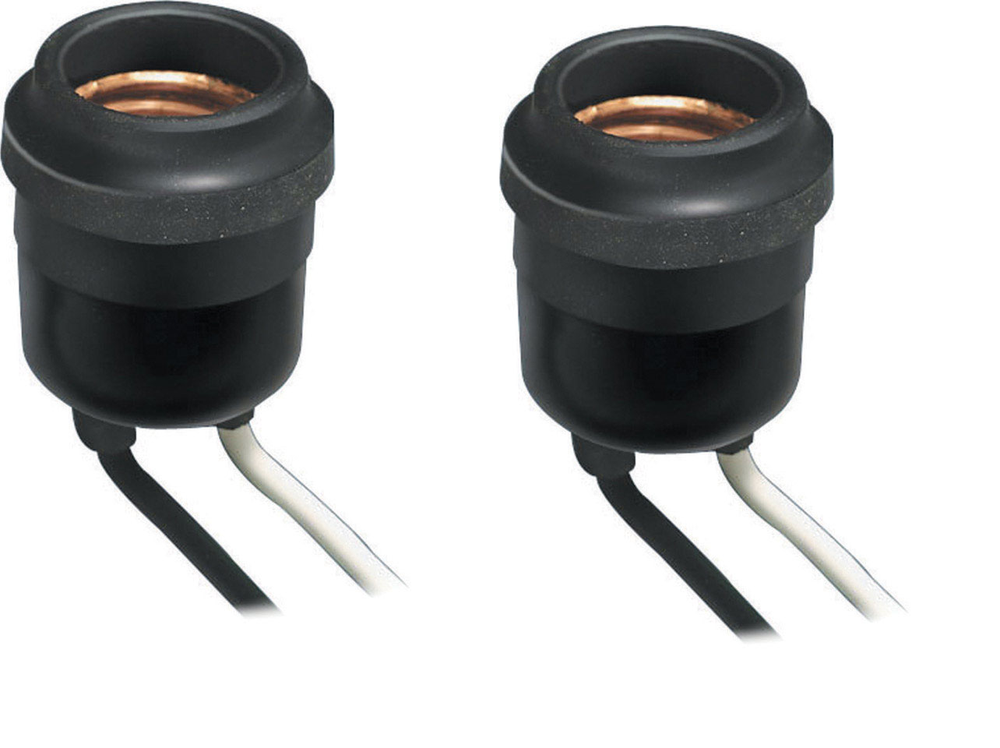 2 pack Leviton Outdoor Socket 600 watts 220 volts Medium Black