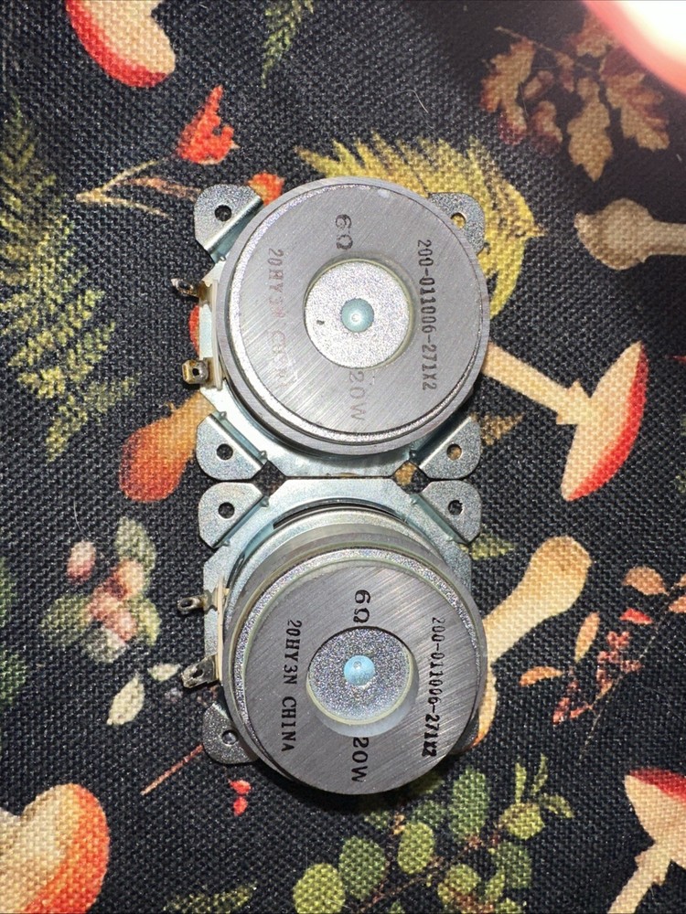 Two Speakers 20W 6.amp