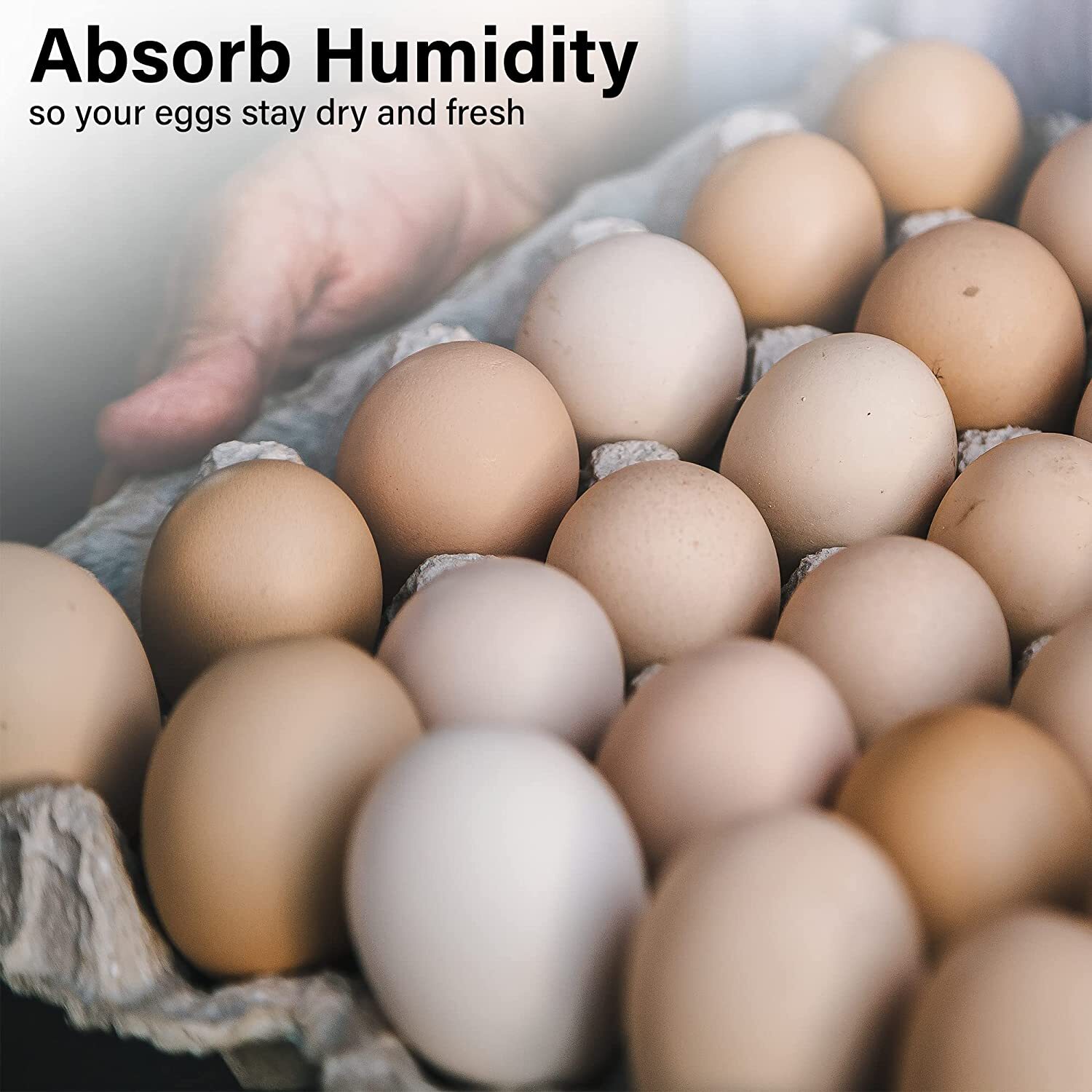 MT Products Pulp Flat Egg Cartons | Stores 30 Large to Small Eggs - Pack of 15