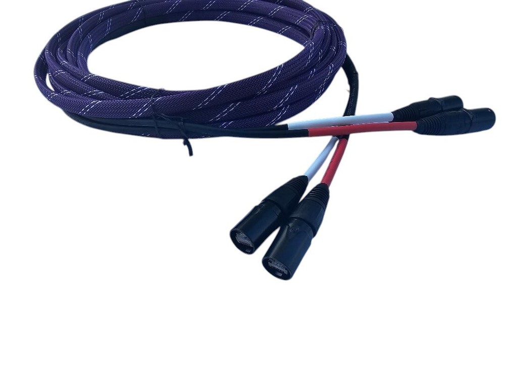 2 Channel CAT5e Snake Tactical Shielded Neutrik Ethercon Digital Audio Cable.