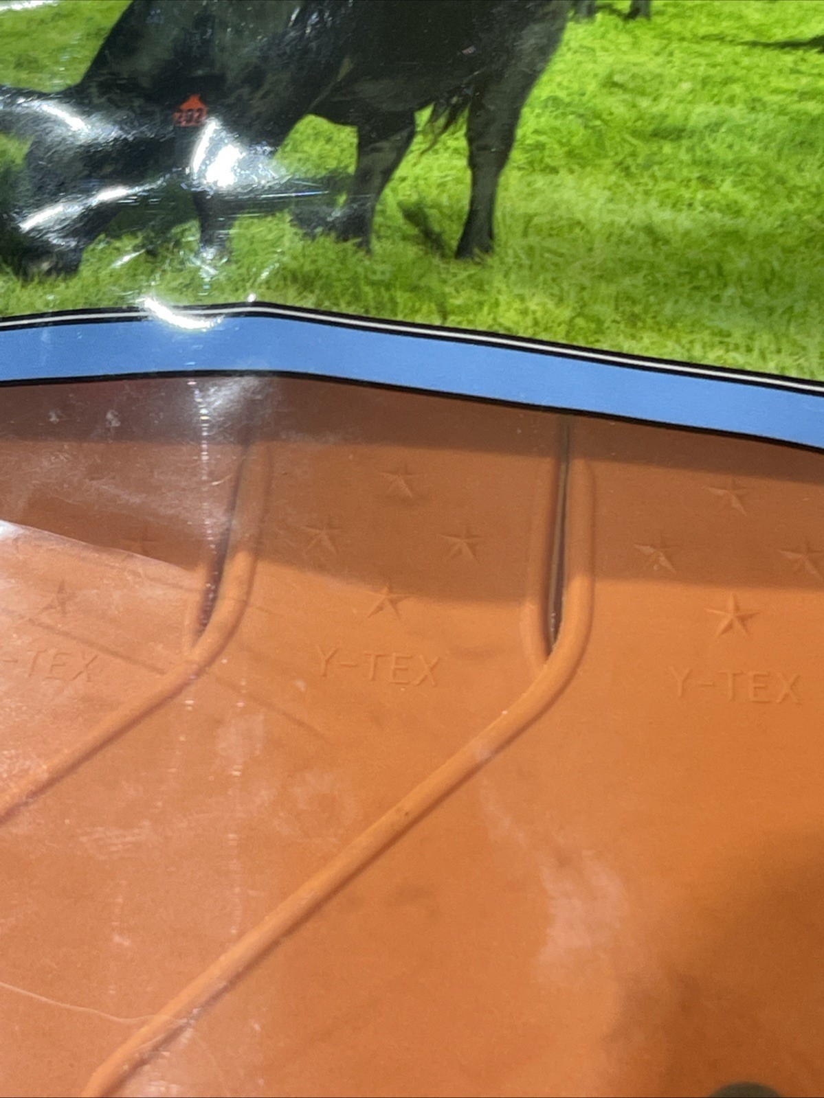 Y-Tex 4 Star Large Cattle Tags 25 Pack, 2 Piece Ear Tag System, Orange, 1-25