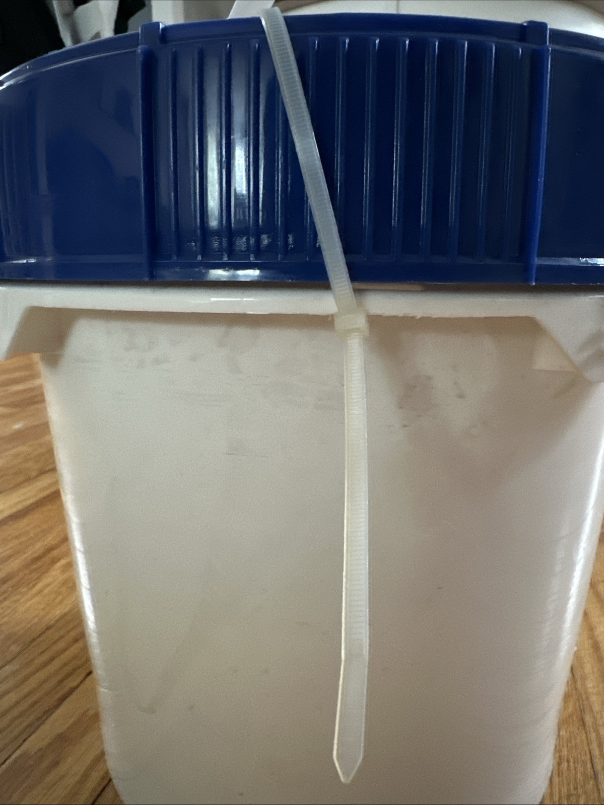 Sodium Chloride Analytical Test Methods. Thermo Fisher