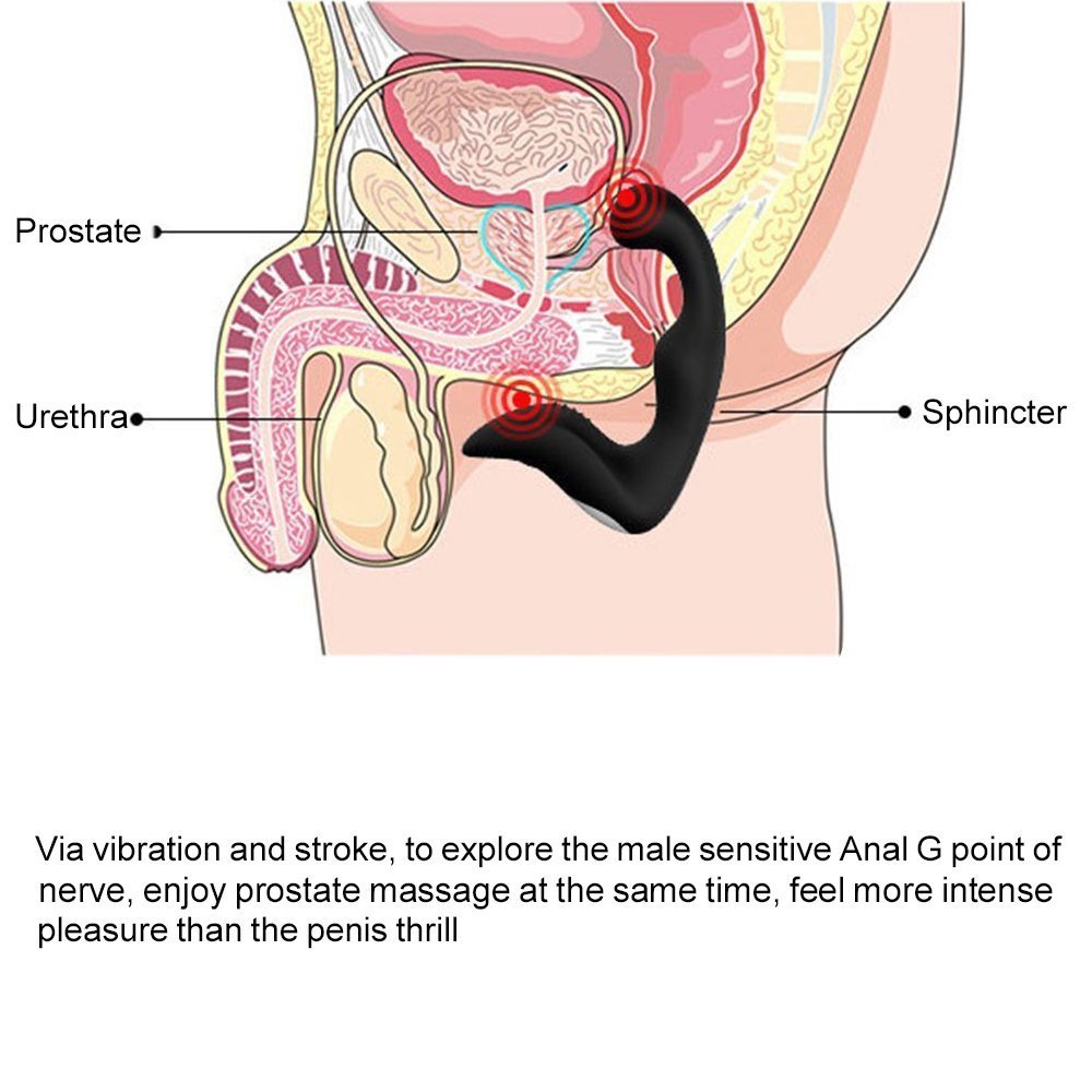 Prostate massager from Laytek
