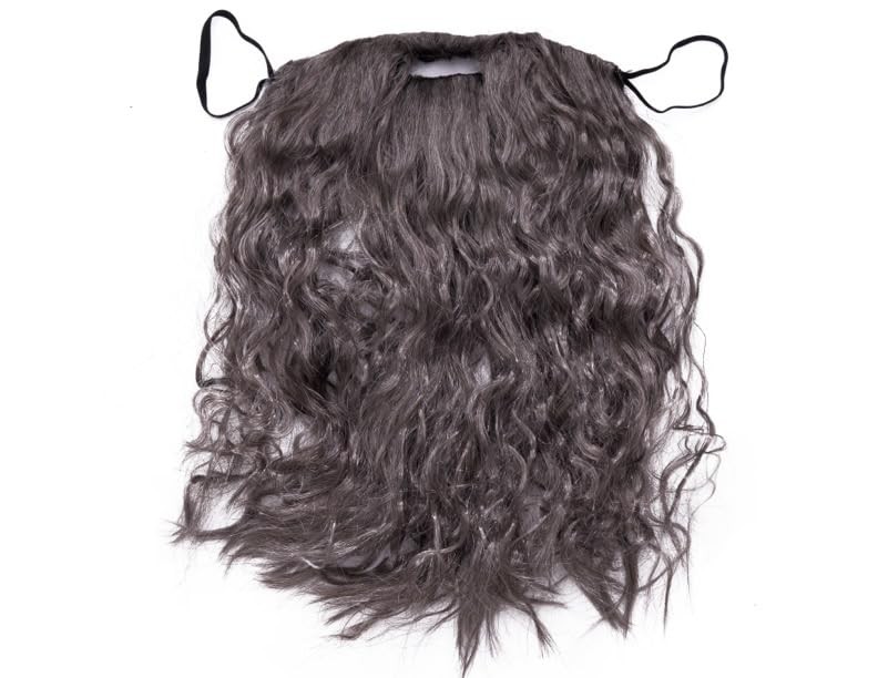 Happy Hippo Long, Gray Wizard Wig and Beard Set: Halloween Costume Wig For Me...
